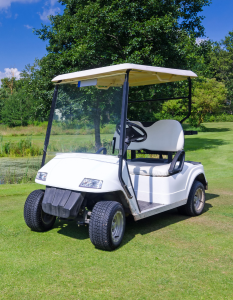 Ezgo Golf Cart